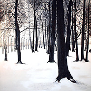 Birches